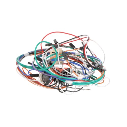 Bertazzoni Wiring - 6017165