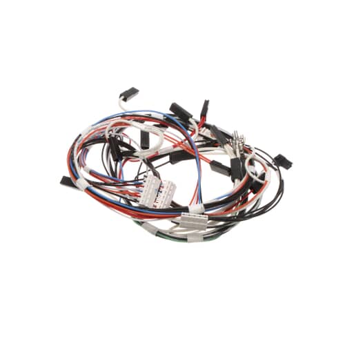 Bertazzoni Pyro Door Latch Wiring - 6016063