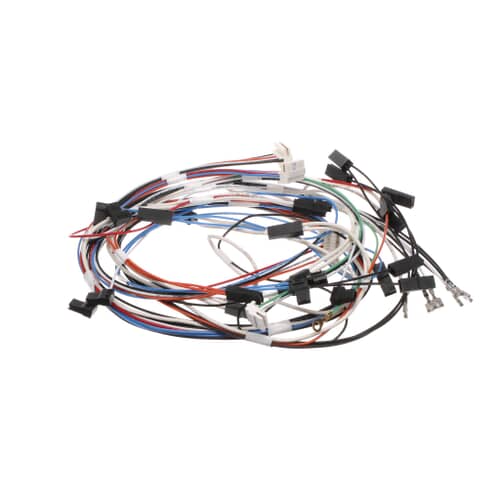 Bertazzoni Pyro Door Latch Wiring - 6016077