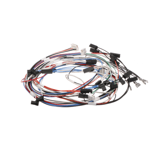 Bertazzoni Pyro Door Latch Wiring - 6016077